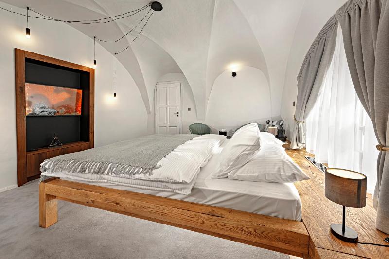 Deluxe Suite (Knižnica) image 1