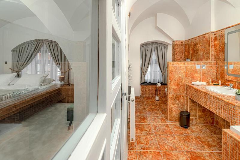 Deluxe Suite (Knižnica) image 4