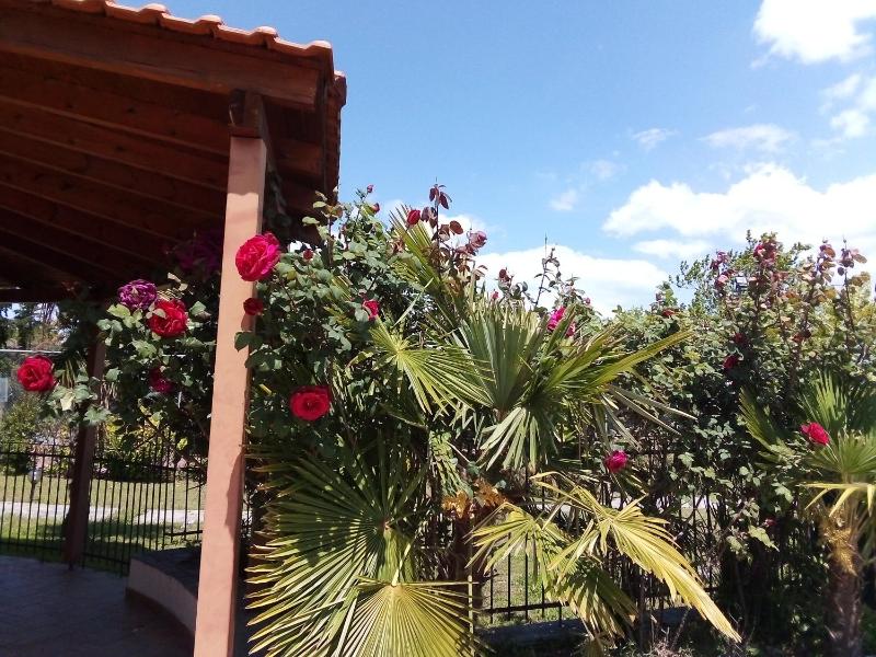 Villa with Private Pool image 3
