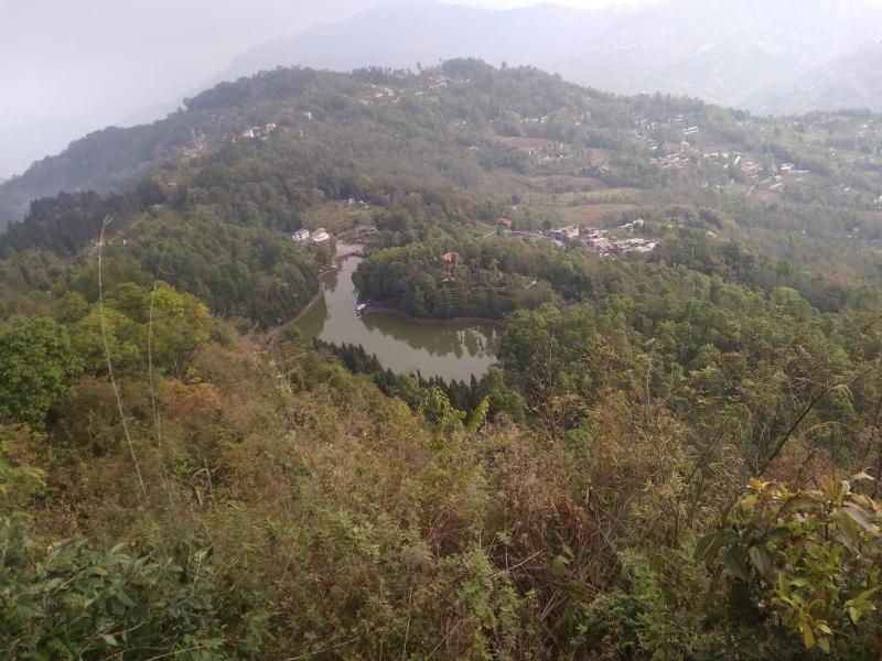 Tragopan Homestay - image 4
