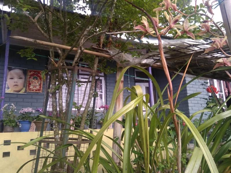 Tragopan Homestay - image 11