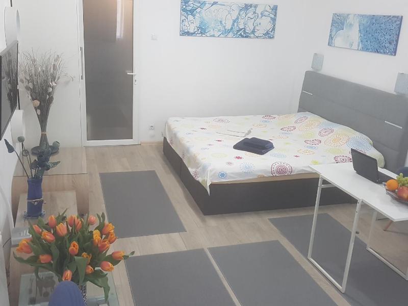 Studio Apartment image 2