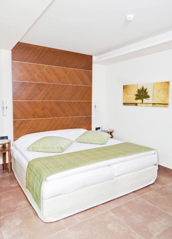 Executive Double Room With a Sea View image 4