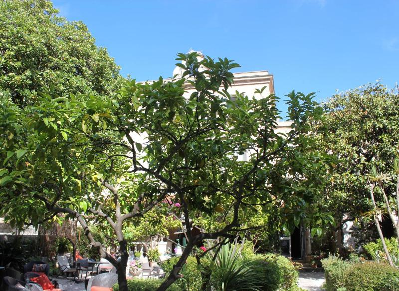 Hôtel Les Palmiers - image 8