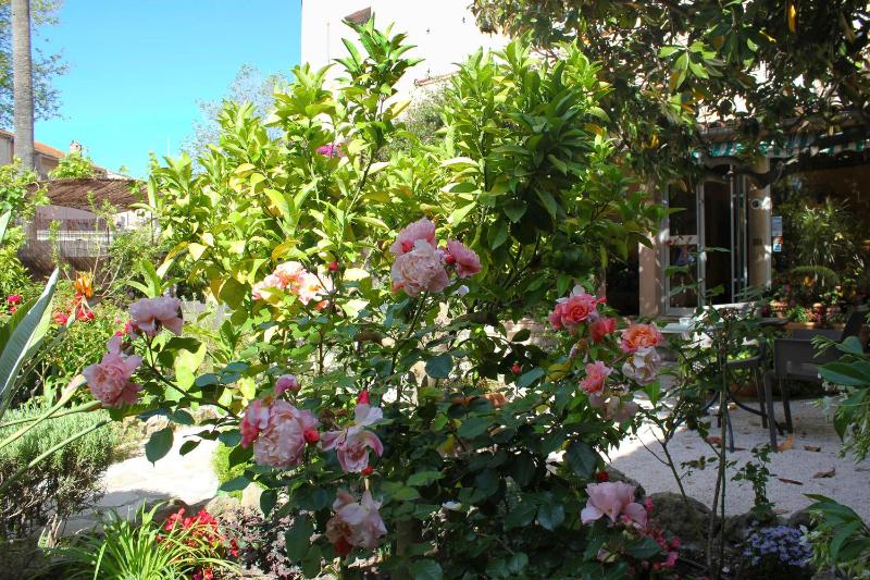 Hôtel Les Palmiers - image 28