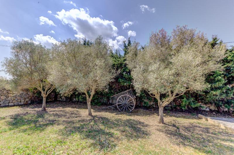 Villa Soler de Baix by Sealand Villas - image 5