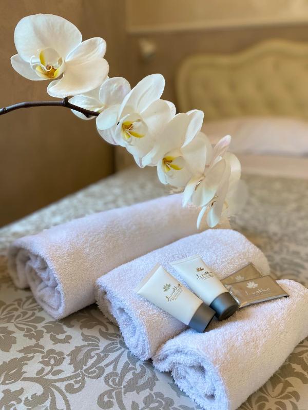 Deluxe Double Room image 4