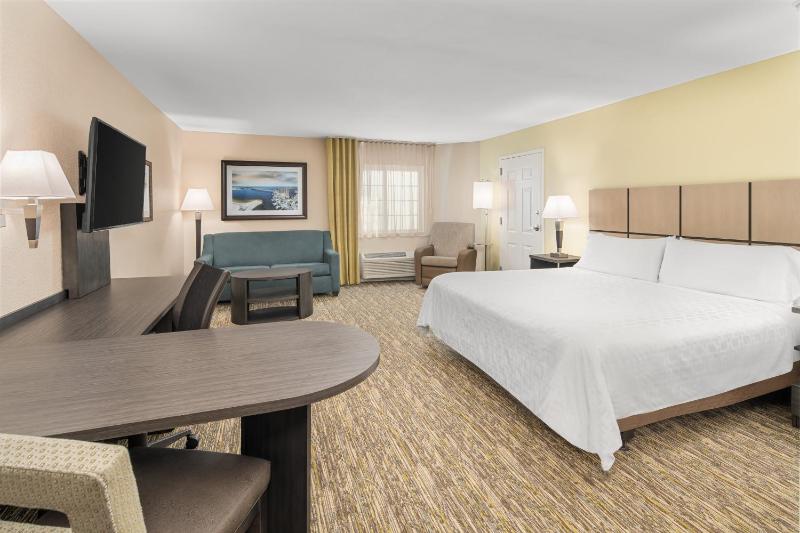 King Studio Suite image 3