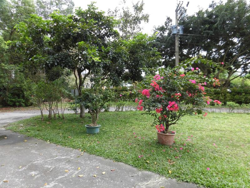 Shiang Ching Home Stay - image 22