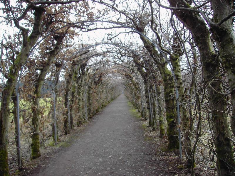 Three-Bedroom Holiday Home  image 4