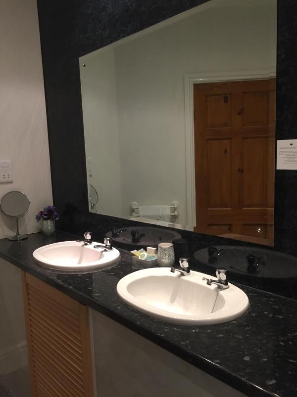 Deluxe Suite image 2