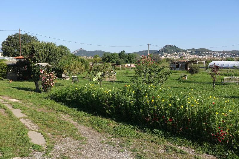 Gîte du Pagoulin - Gîte - image 3