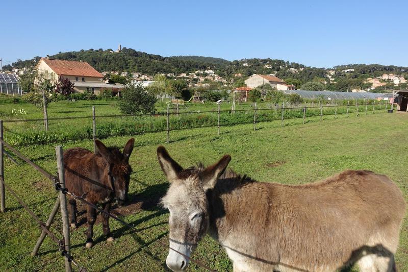 Gîte du Pagoulin - Gîte - image 5
