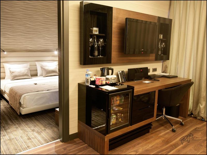 Single Suite image 3
