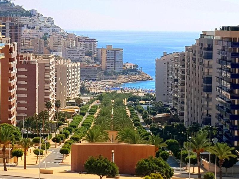 Apartamento Veremar zona tranquila con piscina jardines soleado y cerca de la playa de la cala para disfrutar el mediterran - image 17