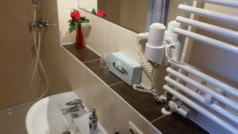 Single Room with Shower/Toilet image 2
