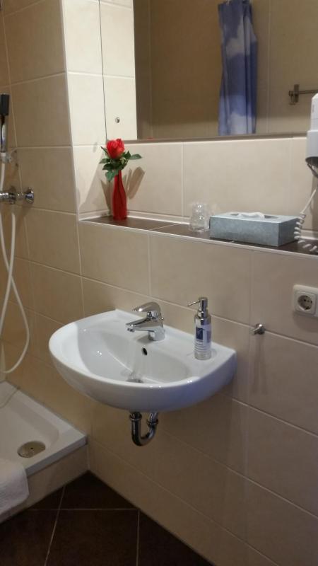 Single Room with Shower/Toilet image 1
