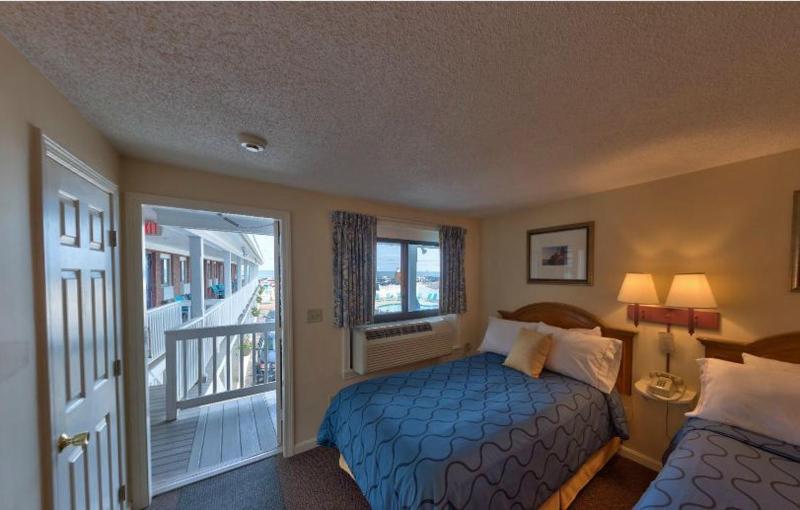 Double Room with Two Double Beds and Sofa Bed image 4