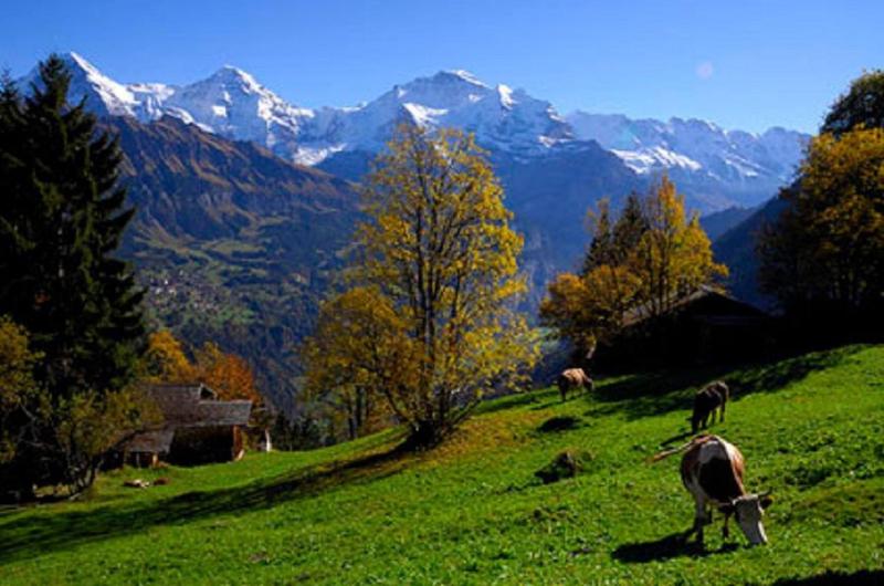 Chalet Gafri -Boutique B&B - comfort and hospitality - near Interlaken - image 9