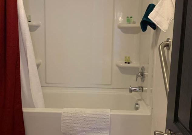 One-Bedroom Apartment image 3
