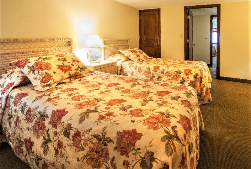 Two-Bedroom Apartment image 3