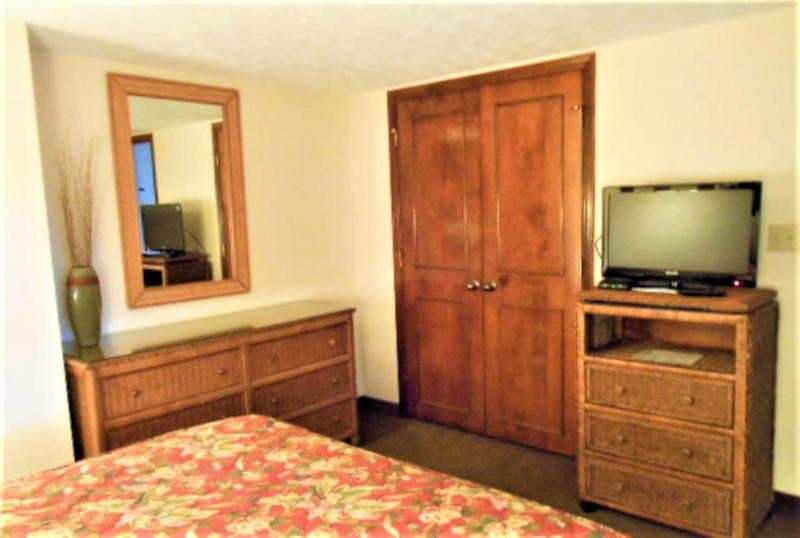 One-Bedroom Apartment image 2