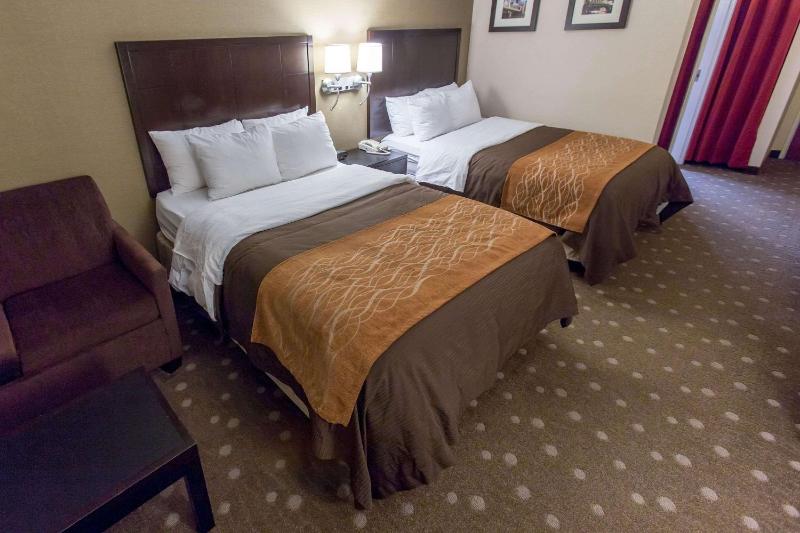 Comfort Inn Pittsburgh Crafton - image 20