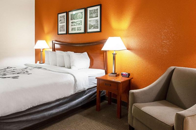 King Room - Non-Smoking image 2