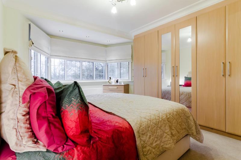 Deluxe King Room image 1