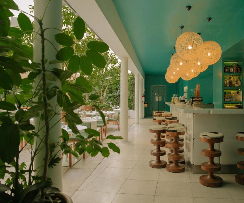 CONDESA DF Mexico City a Member of Design Hotels - image 10