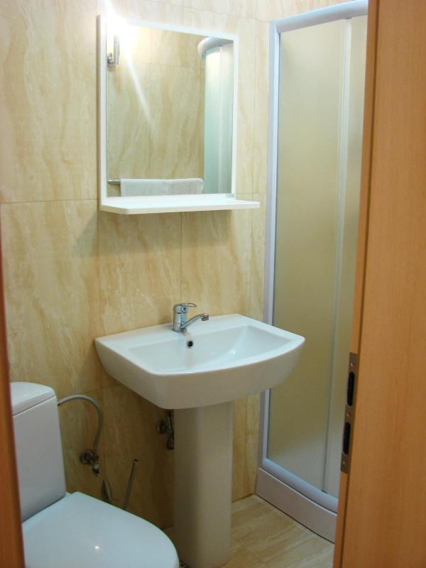 One-Bedroom Apartment image 4