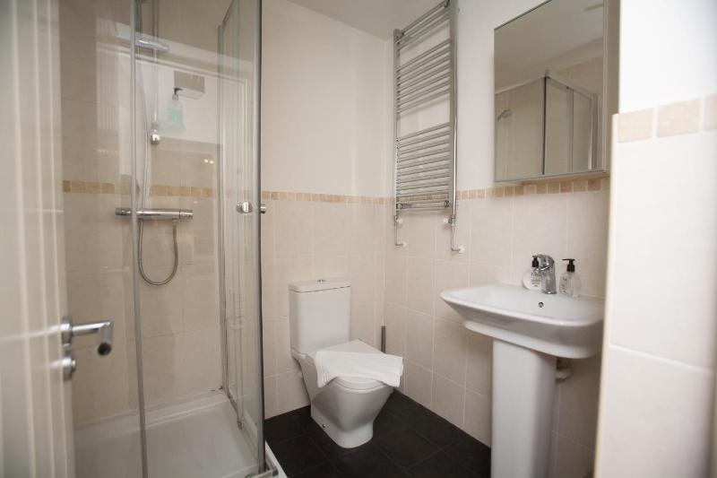One-Bedroom Apartment image 4