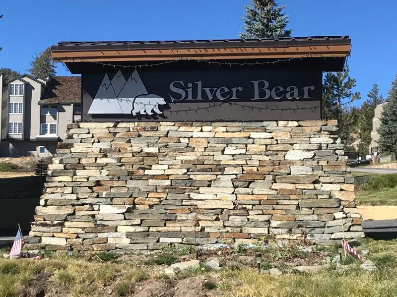 Silver Bear #40 - image 4