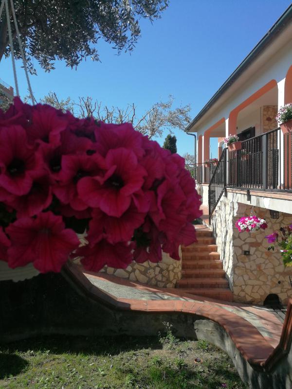 Villa Carlini - image 30