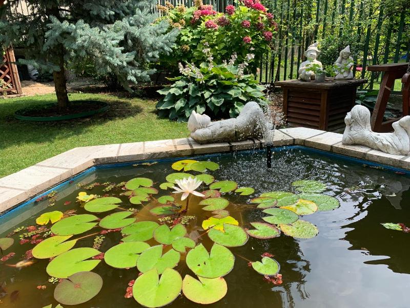 Hotel Arcus Garden - image 11