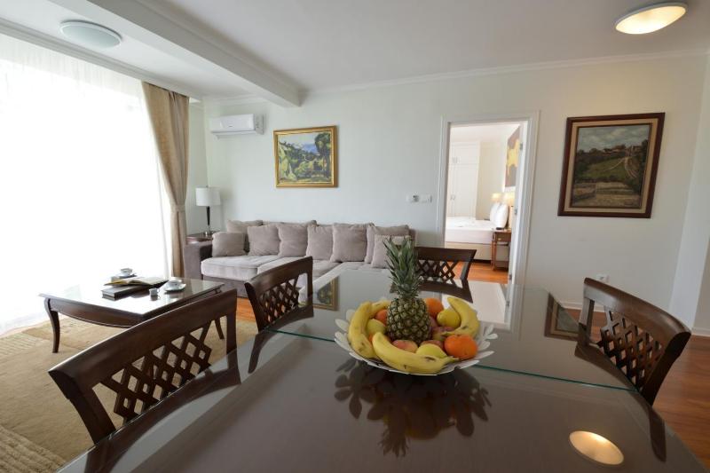 Superior Apartment image 4
