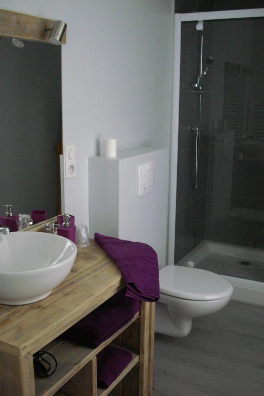 Double or Twin Room image 4