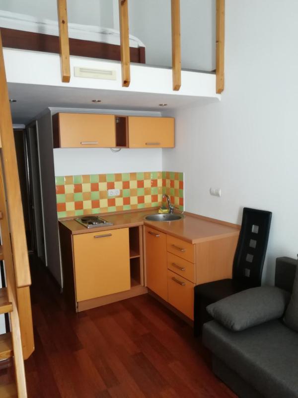 Duplex Apartment image 3