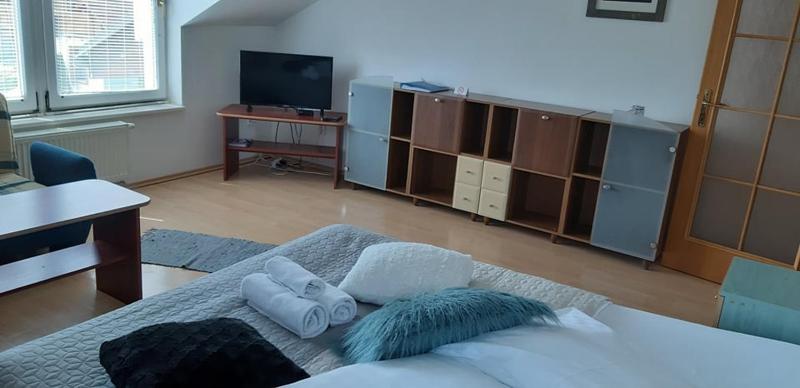 One-Bedroom Apartment image 3