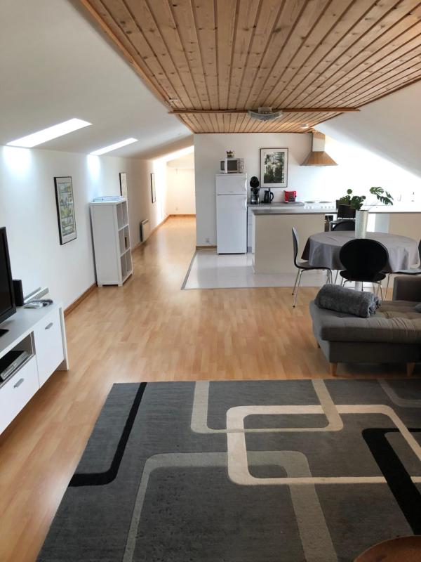 Duplex Apartment image 3