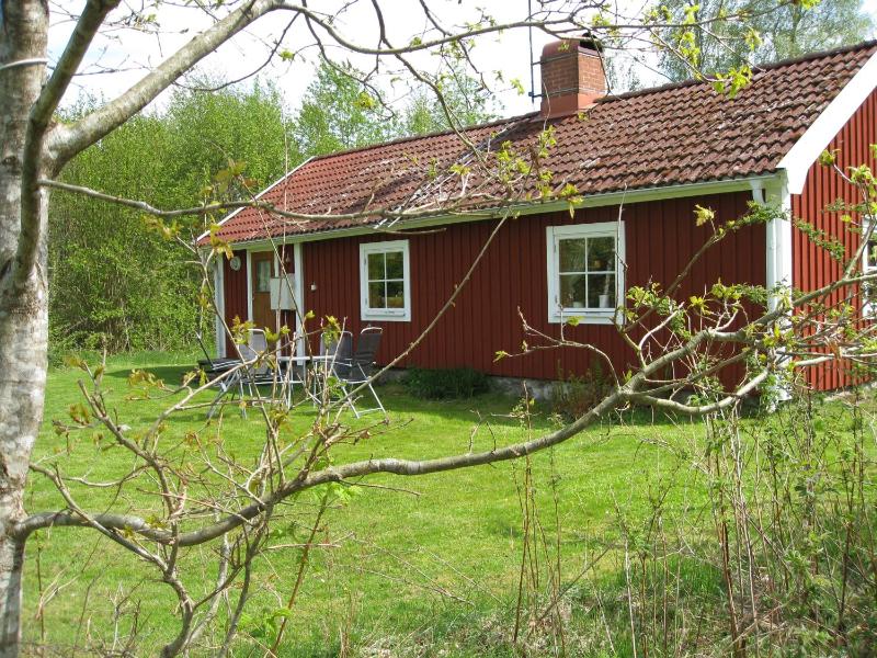 One-Bedroom Cottage image 2