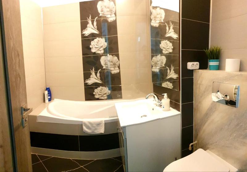 Apartament Central Radu - image 2