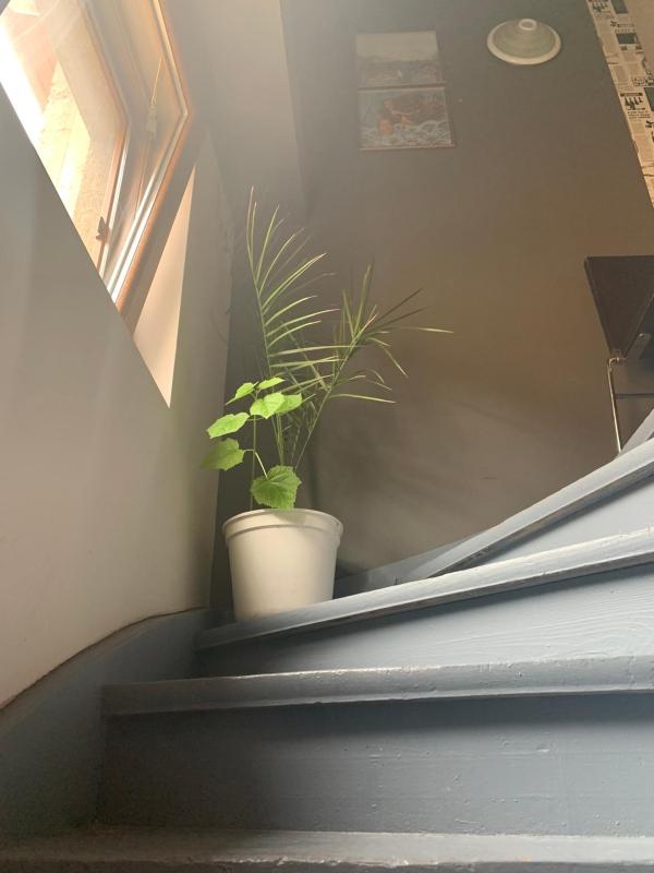 Trakia Street Apartment - image 10