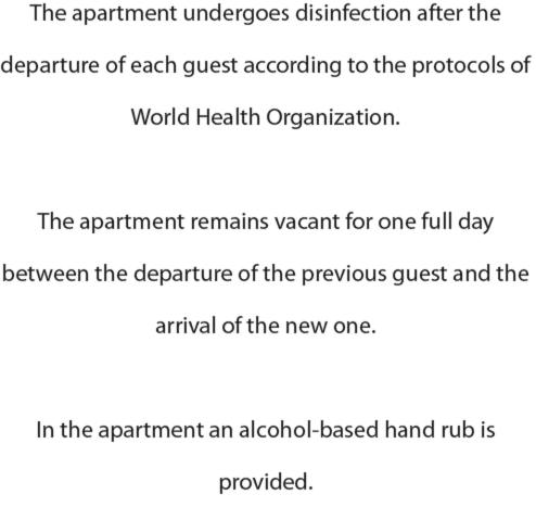 Penthouse Studio Apartment image 2