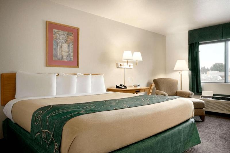 Queen Room - Mobility Access/Non-Smoking image 2