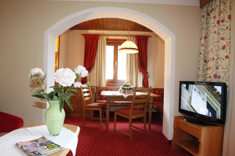Large One-Bedroom Apartment image 3