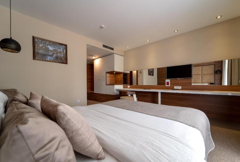 Deluxe Double or Twin Room with Balcony image 1