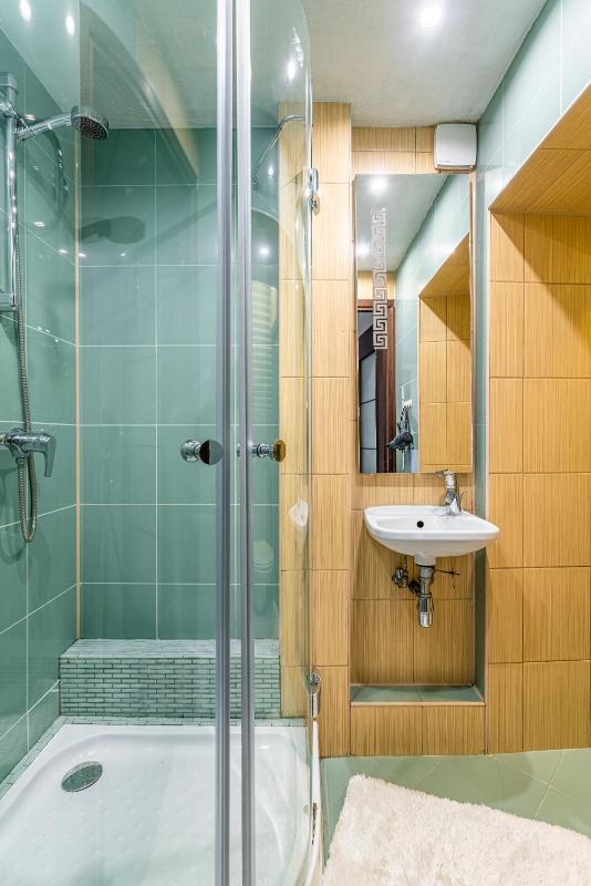 One-Bedroom Apartment image 2