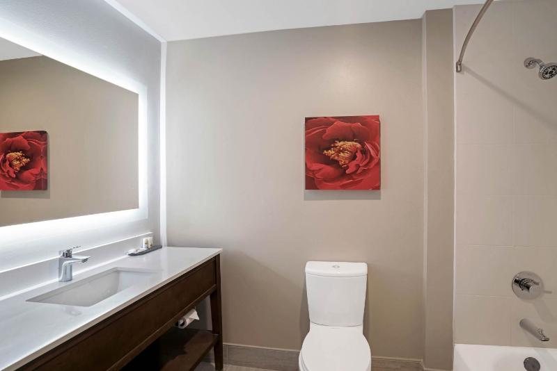 Executive King Room with Sofa Bed image 3