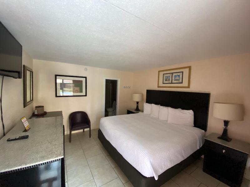 Standard Single Room image 1